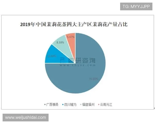 开云集团官方网站的历史沿革与未来发展战略全面分析