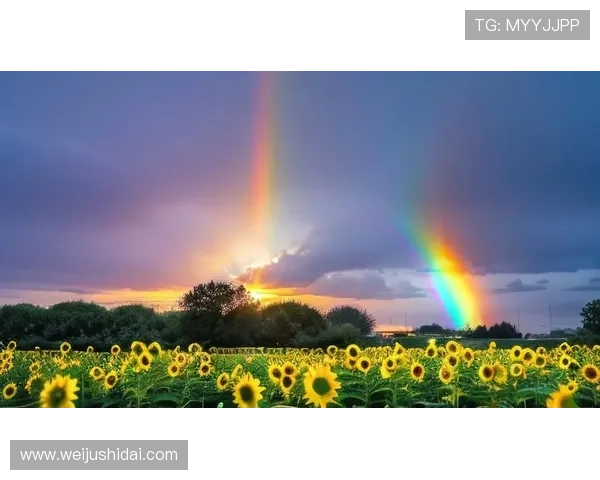 开运kaiyun体育帮助你在运动中找到正能量，迎接每一天的好运